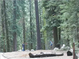 small_040521 caPICT4761.webp